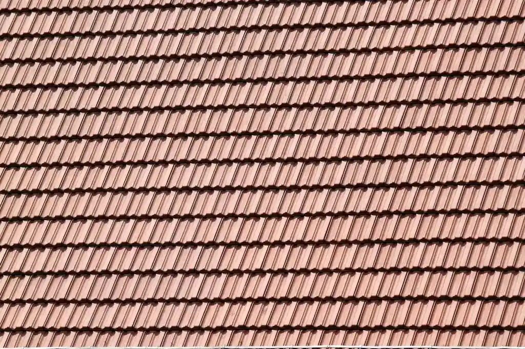 Professional roofing consultation and inspection