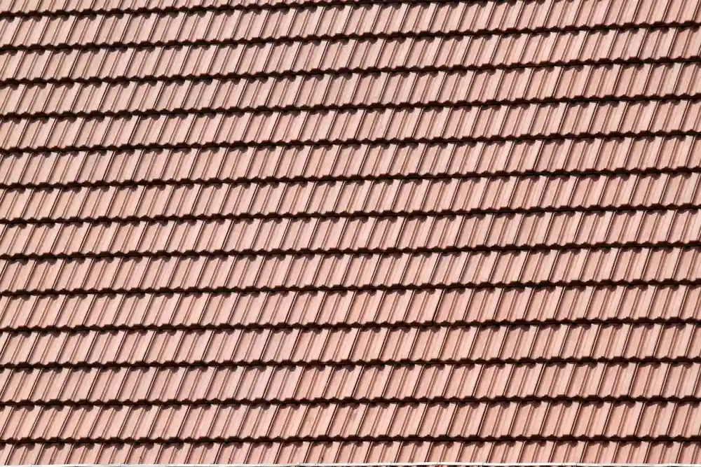 Professional roof leak repair services from Reston Roof