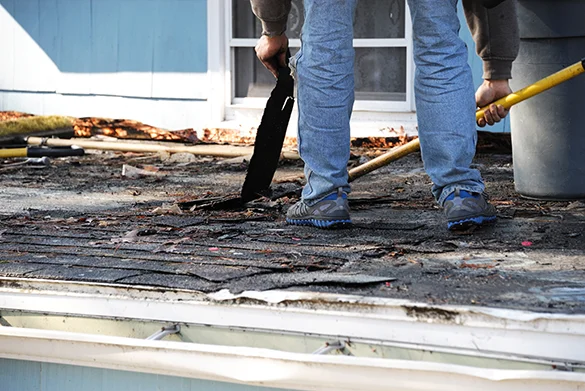 Professional gutter maintenance team at work